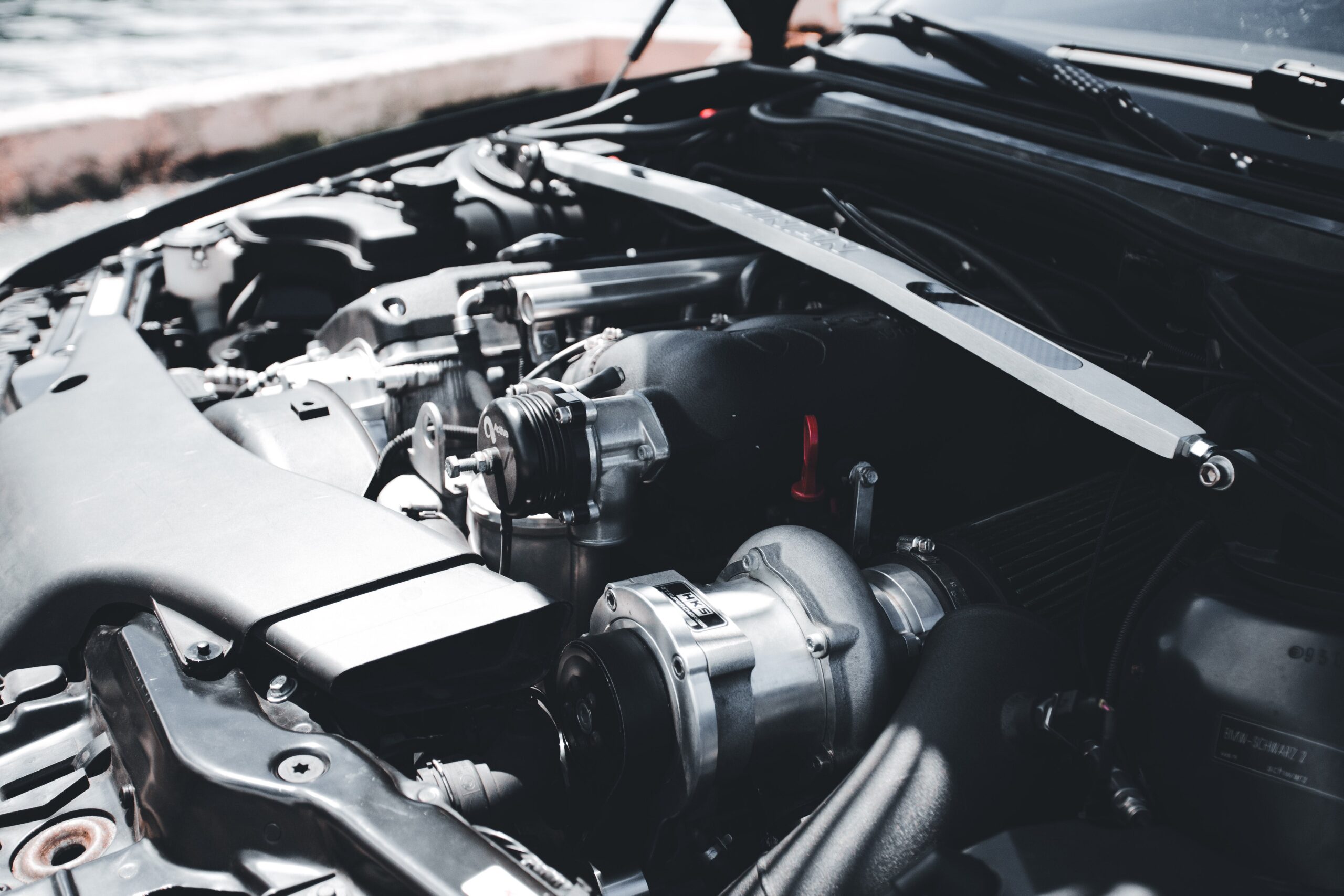 pexels-erik-mclean-12765661